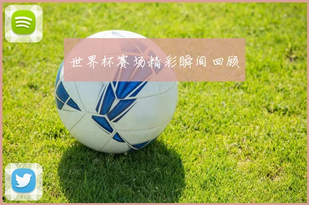 世界杯赛场精彩瞬间回顾